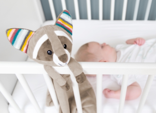 Zazu Baby Comforter mapache Robin